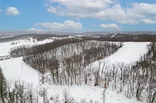 000 Gudekunst Rd, Jackson Township, PA 16063 - Photo 1