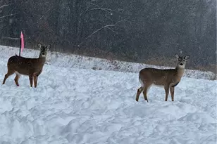 212 Sandy Flat Rd, Kittanning, PA 16201 - Photo 37