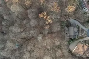 335 Red Oak Ct Red Oak Ct, Monroeville, PA 15146 - Photo 47