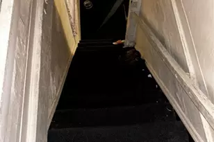 1318 Myrtle St, Washington, PA 16323 - Photo 9