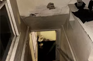 1318 Myrtle St, Washington, PA 16323 - Photo 13