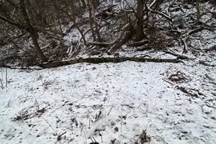 8156 Chaske St, Verona, PA 15147 - Photo 27