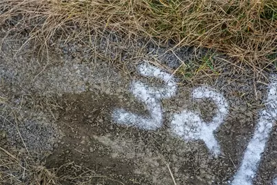 Lot#32 Coblestone Drive, Smith Township, PA 15021 - Photo 19