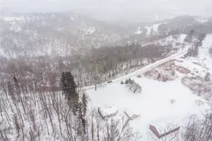 460 Beaver Run Rd, Washington Township, PA 15613 - Photo 37