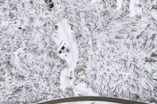 1558 Blackhawk Rd, Darlington, PA 16115 - Photo 7