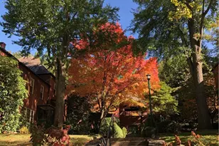 401 Olympia, Pittsburgh, PA 15211 - Photo 37