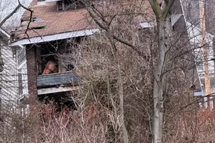 514 5th Ave, Freedom, PA 15042 - Photo 5