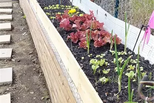 212 Rustic Ridge Ln, Summit Township, PA 16002 - Photo 47