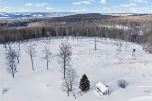 2447 Luciusboro Rd, Homer City, PA 15748 - Photo 15