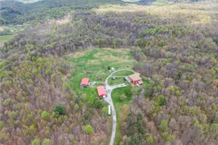 2447 Luciusboro Rd, Center Township-Homer City, PA 15748 - Photo 43