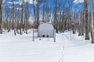 2447 Luciusboro Rd, Homer City, PA 15748 - Photo 11