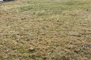 311 Sunset, Lower Burrell, PA 15068 - Photo 17