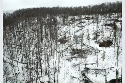 0 Jericho Rd, Wheatfield Township (East/West), PA 15949 - Photo 27