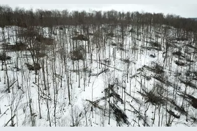 0 Jericho Rd, Wheatfield Township (East/West), PA 15949 - Photo 25