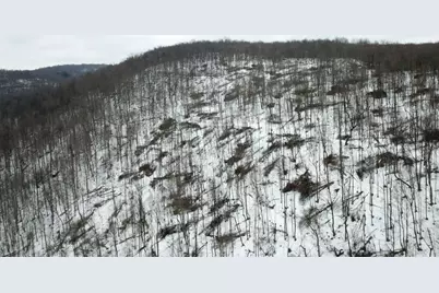 0 Jericho Rd, Wheatfield Township (East/West), PA 15949 - Photo 29