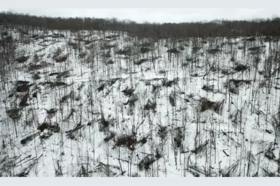 0 Jericho Rd, Wheatfield Township (East/West), PA 15949 - Photo 21