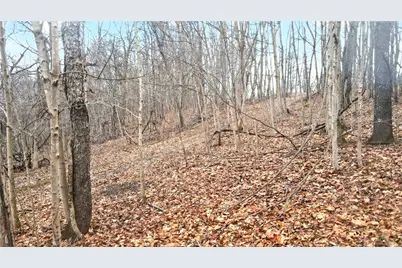 220 Main Rd, Donegal, PA 15376 - Photo 43