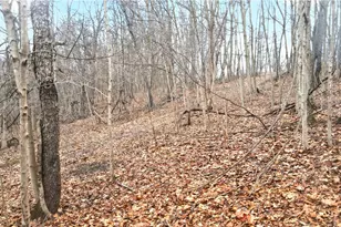 220 Main Rd, Donegal, PA 15376 - Photo 43