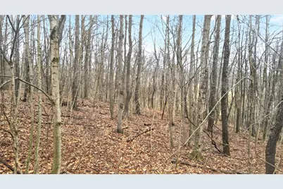 220 Main Rd, Donegal, PA 15376 - Photo 39