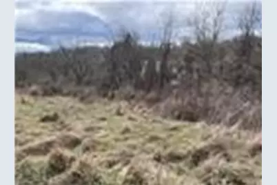 0 Williams Street, South Strabane, PA 15301 - Photo 37