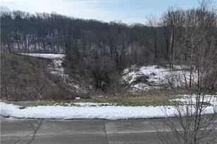 246 Grace Manor Dr, Robinson Twp, PA 15108 - Photo 31