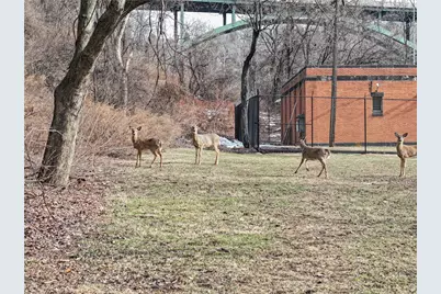 751 Naylor St, Pittsburgh, PA 15207 - Photo 33