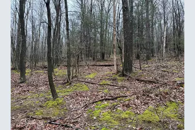 0 Club Rd, Allegheny Township, PA 15530 - Photo 1