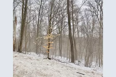 0 Cadogen Slatelick Road, Kittanning, PA 16201 - Photo 9