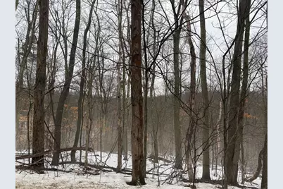 0 Cadogen Slatelick Road, Kittanning, PA 16201 - Photo 5