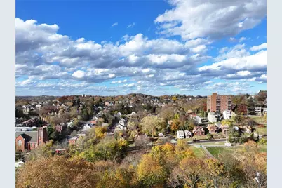 101 W McIntyre, Pittsburgh, PA 15214 - Photo 23