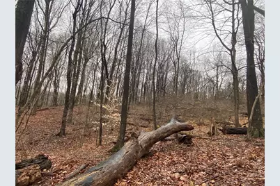 - Old Ramsey Rd, Monroeville, PA 15146 - Photo 5