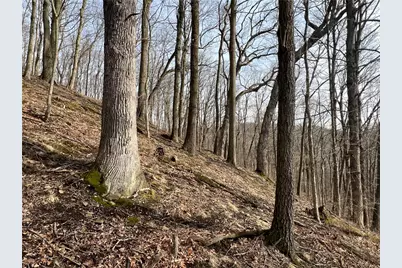 0 N Kings Creek Rd, Hanover Township, PA 15021 - Photo 21