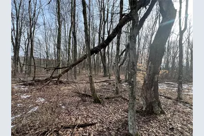 0 N Kings Creek Rd, Hanover Township, PA 15021 - Photo 19