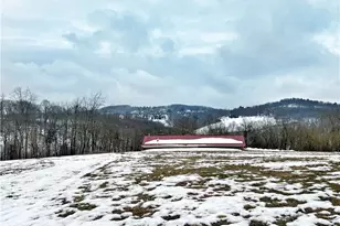 187 Wolfe Run Rd, Freedom, PA 15042 - Photo 5