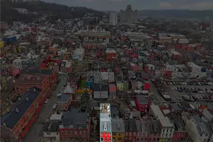 1234 Palo Alto St, Pittsburgh, PA 15212 - Photo 47