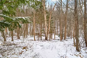 217 Klein Rd, Indiana Township, PA 15116 - Photo 1