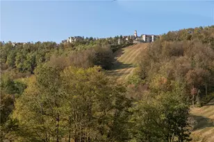 B43Ab Stoneridge Dr, Champion, PA 15622 - Photo 31