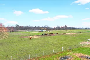 29 Breeze Ln, Wilmington Township, PA 16142 - Photo 43