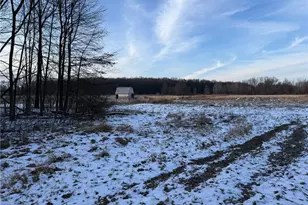 00 Borowicz Rd, Wilmington Township, PA 16142 - Photo 1