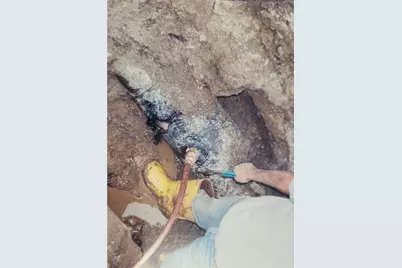 55 Dietrich, Pittsburgh, PA 15238 - Photo 37