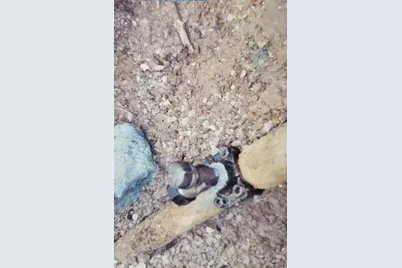 55 Dietrich, Pittsburgh, PA 15238 - Photo 29