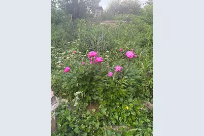 2358 Mount Vernon Avenue, Murrysville, PA 15632 - Photo 43