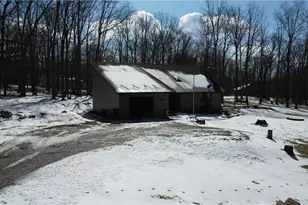 11 Orchard Camp Dr, Wharton Township, PA 15470 - Photo 5