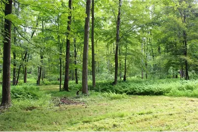 0 Rs 258, Liberty Township, PA 16127 - Photo 11