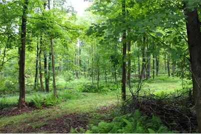 0 Rs 258, Liberty Township, PA 16127 - Photo 7