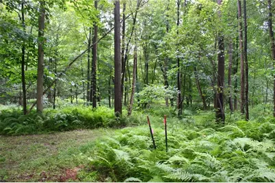 0 Rs 258, Liberty Township, PA 16127 - Photo 5