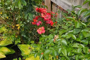 720 Graham St, Belle Vernon, PA 15012 - Photo 27