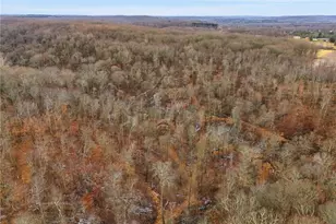 0 Steel Rd, Hanover Township, PA 15026 - Photo 13