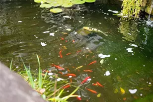 2779 Clearview Rd, Hampton, PA 15101 - Photo 45