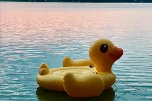 228 Latonka Dr, Jackson Township, PA 16137 - Photo 29